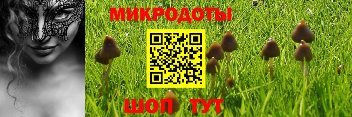 Галлюциногенные грибы мухоморы Лесозаводск